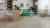 плитка Alpine floor ДУБ ФАНТАЗИЯ ECO 18-1 MC фото винила ДУБ ФАНТАЗИЯ ECO 18-1 MC